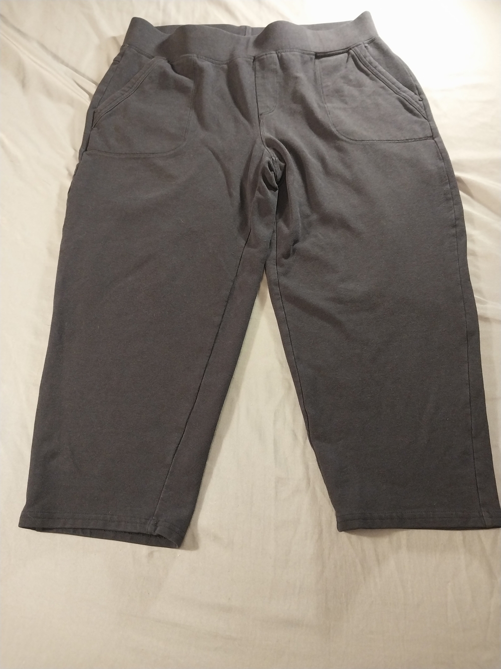 T by Talbots Relaxed Crop Pants Petite Medium #448